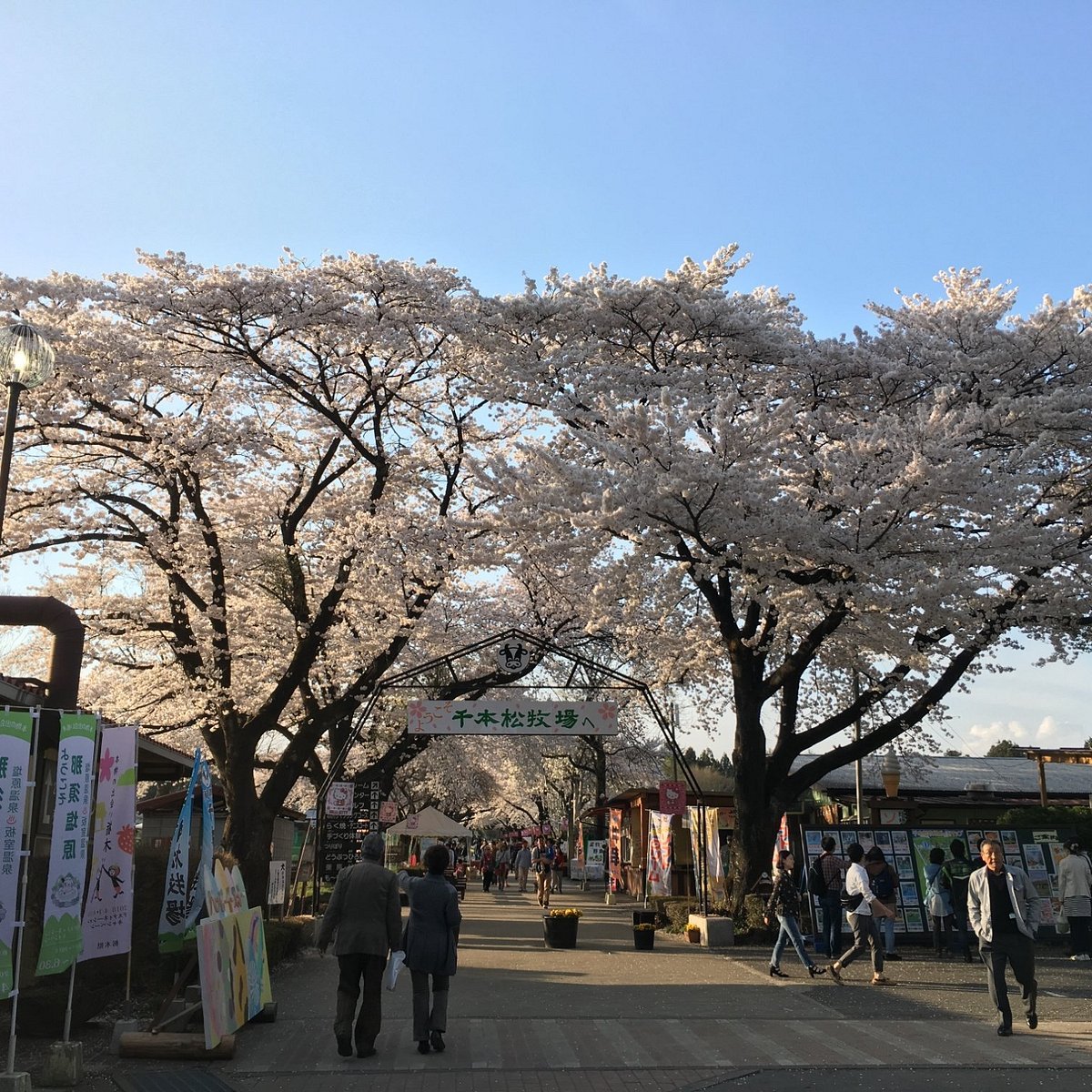 🏞️ 나스 센본마츠 목장(나스 센본마츠 보쿠조) 이미지 6